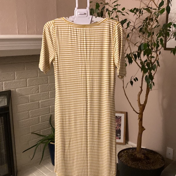 PURE + GOOD Anthropologie horizontal mustard striped dress. - Picture 5 of 5